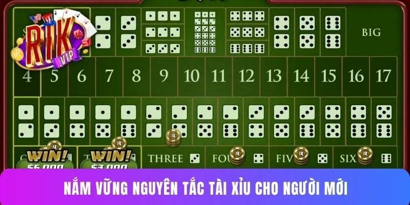 Nắm vững nguyên tắc tài xỉu cho người mới