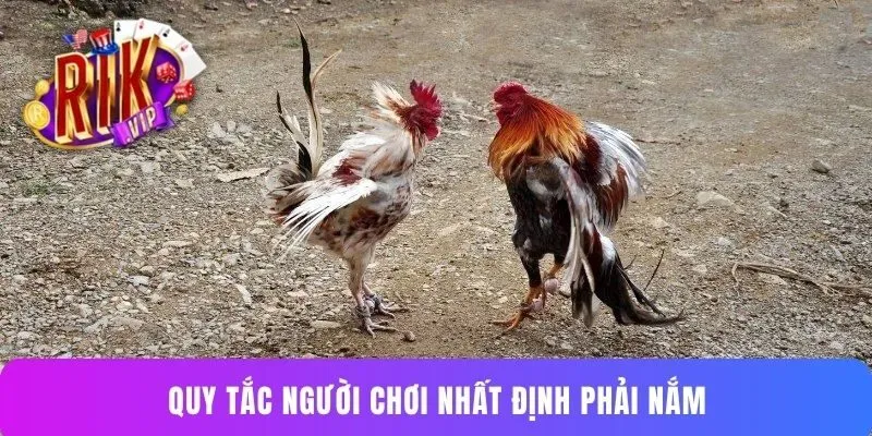 Quy tắc người chơi nhất định phải nắm